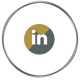 Custom Icon
